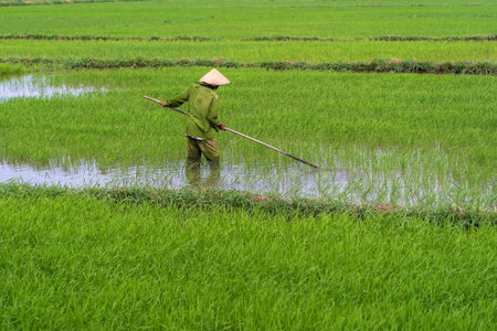 Danang, Vietnam - june 19, 2020: Vietnamese families relax on the beach and swim in the sea in the evening after work on the city Danang, Vietnam. Local people relax on the beachのeditorial素材