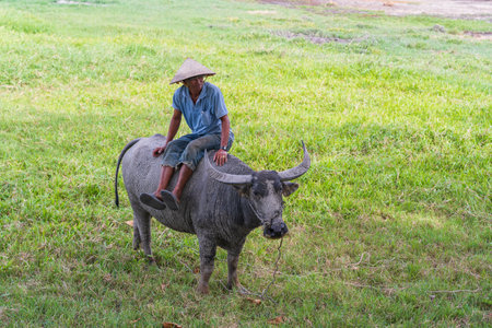 Danang, Vietnam - june 19, 2020: Vietnamese families relax on the beach and swim in the sea in the evening after work on the city Danang, Vietnam. Local people relax on the beachのeditorial素材