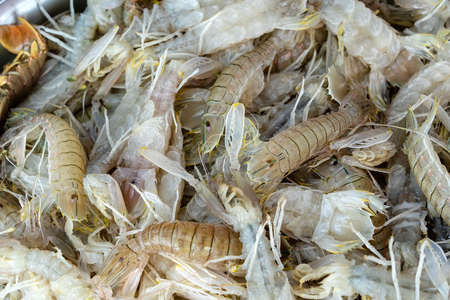 Sea fresh shrimps at street market in Thailand. Seafood concept. Raw prawns for cooking, close upの写真素材