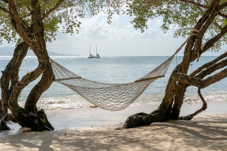 Hammock hang from tropical tree over summer sand beach sea in Koh Phangan island, Thailand. Summer, travel, vacation and holiday conceptの写真素材