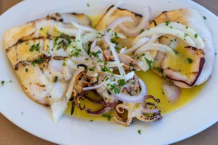 European cuisine, Mediterranean dish. Grilled squid with oyster sauce, Greece. Close up