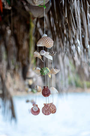 Seashells hanging on the ropes on a tropical beach, Thailand, close up