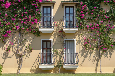 Windows with balcony on building facade with cast iron ornaments and flower tree on the wall in Bodrum, Turkeyのeditorial素材