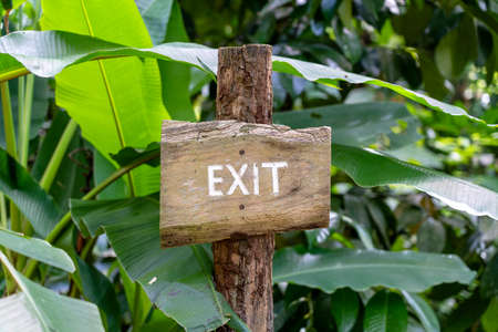 Text exit on a wooden board in a rainforest jungle of tropical Bali island, Indonesia. Exit wooden sign inscription in the asian tropics. Close upの写真素材
