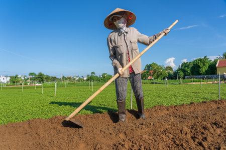 Hoi An, Vietnam - July 07, 2020: Vietnamese old man working in a garden in vegetarian village near Hoi An city, Vietnamのeditorial素材