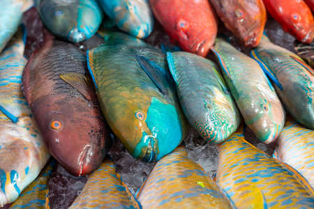 Fresh sea fish for sell at the street food market in Kota Kinabalu, island Borneo, Malaysia, close...