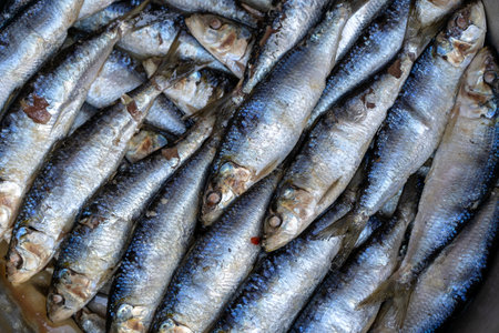 Salted sea fish at street market in Ubud, Bali, Indonesia. Seafood concept. Raw fish for cooking, close upの写真素材