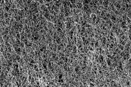 Dark abstract background and pattern of interwoven hairs, fibers and nanofibers. Sponge detail texture, sponge texture close up background. Cellulose sponge texture. Black and whiteの写真素材