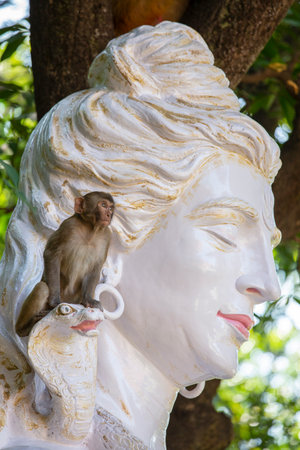 Wild monkey sitting on a Shiva statue, Hindu idol in Rishikesh, India. Sculpture of the Indian god...