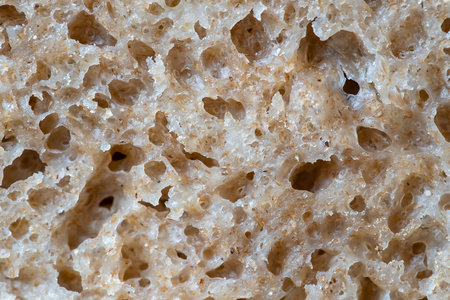 Natural abstract texture of yeast-free sourdough bread, close up