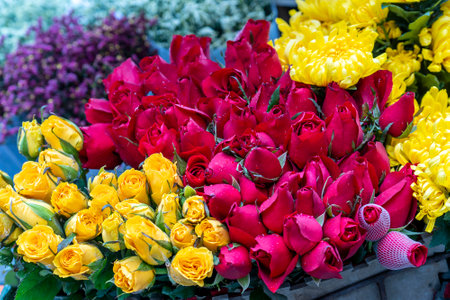 Vietnam Rose Royalty Free Stock Photos And Images Stocklib Vietnam Rose Royalty Free Stock Photos And Images Stocklib