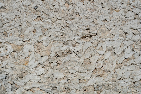 Gray white rough abstract stucco texture for background, close upの写真素材