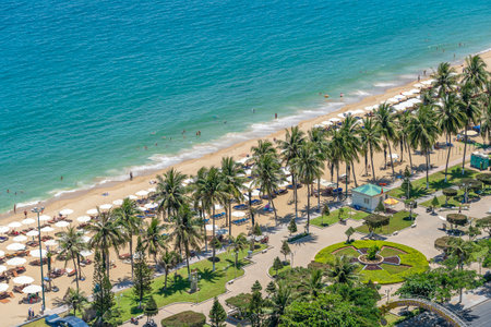 Nha Trang, Vietnam - March 26, 2020: Aerial view of a sandy beach with sea water and coconut palm trees in the resort town of Nha Trang, Vietnamのeditorial素材