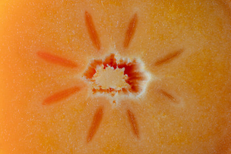 Orange persimmon, cut in half with the texture of seeds and pulp. Persimmon slices background close up, top view, macroの写真素材