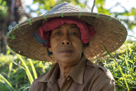 Ubud, island Bali, Indonesia - March 11, 2019: Portrait of a indonesian old woman wearing a straw hat near rice terrace in Bali, Indonesiaのeditorial素材