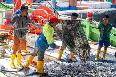 Kota Kinabalu, Malaysia - February 25, 2020: Malaysian fishermen load freshly caught fish from a ship into plastic containers on the street philippine market in Kota Kinabalu, Sabah, Malaysiaのeditorial素材
