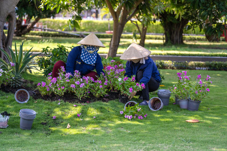 Ho Chi Minh, Vietnam - March 21, 2020: Two Vietnamese women in straw hats work with flowers in a flowerbed on a street garden in downtown Ho Chi Minh City, Vietnam.のeditorial素材