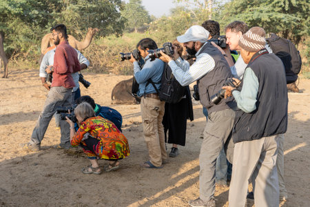 PUSHKAR, INDIA - NOVEMBER 14, 2018: Photographer take pictures at the Pushkar Camel Mela, Pushkar Camel Fair. Many photographers from around the world come to this annual celebration.のeditorial素材
