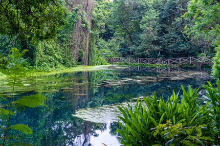 Arched bridge on a lake in tropical forest, Tanzania, east Africa. Footbridge over a pondの写真素材