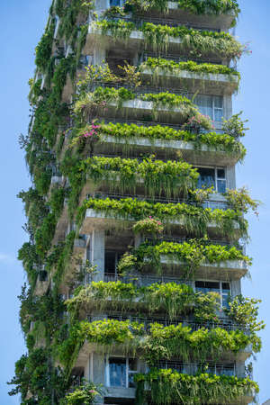 Ecological buildings facade with green plants and flowers on the high stone wall of the facade of the house on the street of Da Nang city in Vietnamの写真素材