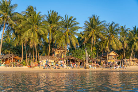Koh Phangan, Thailand - january 27, 2020: Beach bar, coconut palm trees, sea water and rest people during sunset at tropical island Koh Phangan, Thailandのeditorial素材