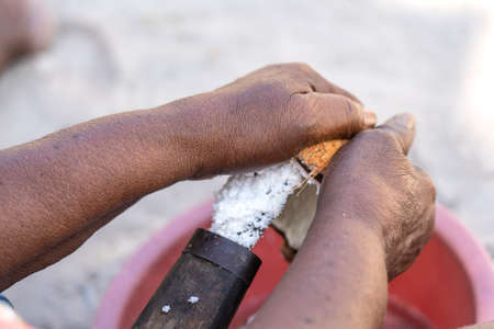 Preparing coconut flakes in a special tool for coconuts at home in a tropical courtyard on the island of Zanzibar, Tanzania, East Africa, close upの写真素材