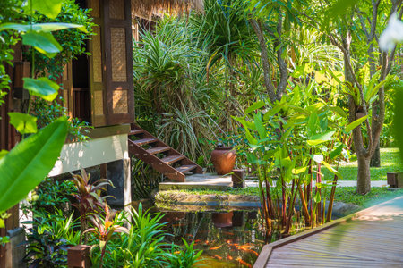 Home and pond in tropical garden on the island Koh Phangan, Thailandの写真素材