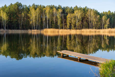 Wooden pier and spring forest on a calm lake in Ukraine. Nature and travel concept. Beautiful and colorful sceneの写真素材