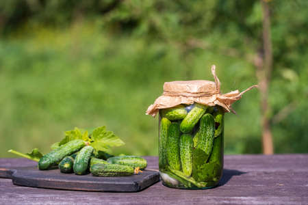 Fresh and salted, pickled green cucumbers in a glass jar on an old wooden table in the summer garden at sunny day, copy space, close up. Jar with green cucumbers, herbs, dill, garlicの写真素材
