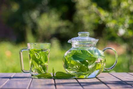 Healthy nettle tea in a glass tea pot and mug in the summer garden on wooden table. Close up herbal tea from the green petals of nettle on nature backgroundの写真素材