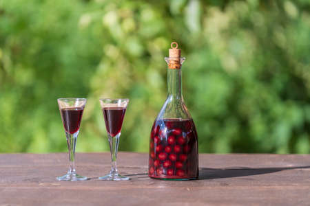 Homemade cherry brandy in two glasses and in a glass bottle on a wooden table in a summer garden, close upの写真素材