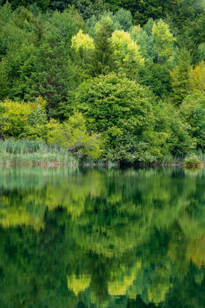 Wonderful view of the Plitvice Lakes National Park. Croatia, Central Europe, travel and nature...