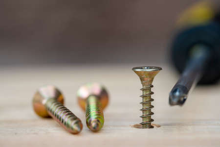 Golden screws screwed into wooden plank and screwdriver, close upの写真素材