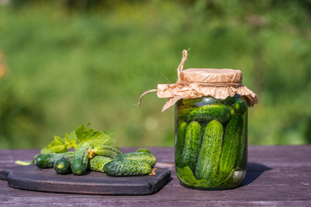 Fresh and salted, pickled green cucumbers in a glass jar on an old wooden table in the summer garden at sunny day, copy space, close up. Jar with green cucumbers, herbs, dill, garlicの写真素材