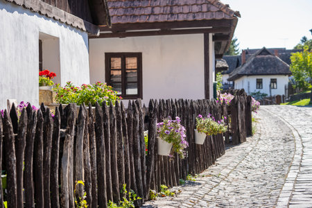 Old rural house and yard with flowers in ethnographic village Holloko in Hungaryの写真素材