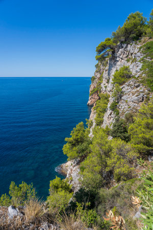 Beautiful seascape with blue Adriatic sea, blue sky and green pine tree on the rocky coastline of Croatiaの写真素材