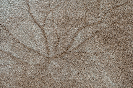Beige fur wool abstract pattern nature skin soft warm fluffy for background and texture, close up,...