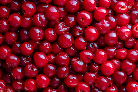 Prepared ripe red pitted cherries for drying or for jam or for freezing , close up, top view. Vegetarian meal, and healthyの写真素材