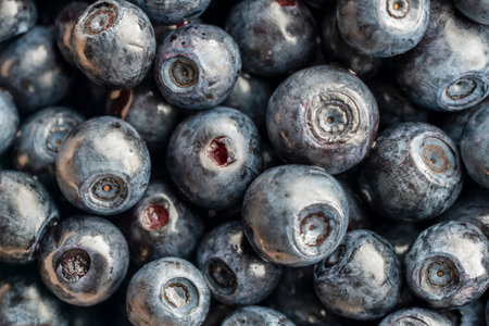 Fresh wild blueberry background, close up, top view. Texture blueberry berries, macro
