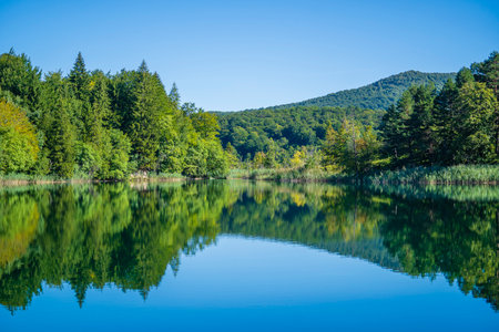 Wonderful view of the Plitvice Lakes National Park. Croatia, Central Europe, travel and nature concept. Mountain lake surrounded by dense coniferous and beech forestの写真素材