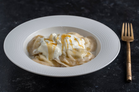 Delicious dumplings stuffed with cottage cheese with sour cream and honey in a white plate, close up. Ukrainian cuisineの写真素材