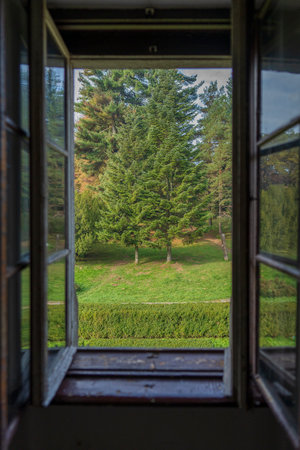 Open old wooden window overlooking the summer garden, close upの写真素材