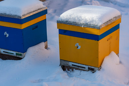 Colorful yellow and blue beehives covered with snow, close up. Beehive in the apiary in winter....