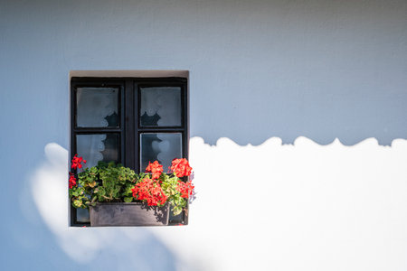 Wooden window in an old farm house with colorful potted flowers in the ethnographic village of...