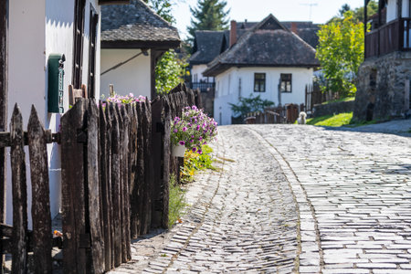 Old rural house and yard with flowers in ethnographic village Holloko in Hungary