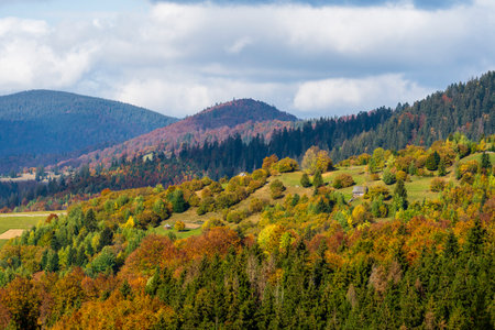 Beautiful autumn forest in the Carpathian mountains on a sunny autumn day on the Synevyr Pass ridge and blue sky background. West Ukraineの写真素材