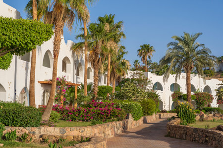 Beautiful view of palm trees, white buildings and stone path at tropical beach resort town of Sharm El Sheikh, Egyptの写真素材