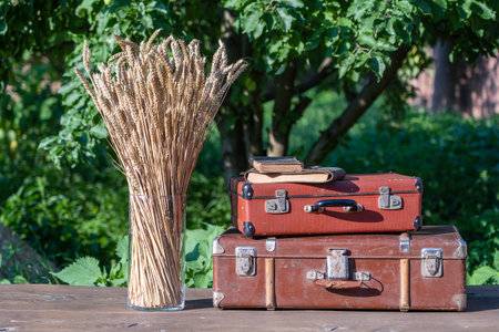 Beautiful wheat bouquet in a glass vase and old suitcase, book on a wooden table in garden, close up. Harvest conceptの写真素材