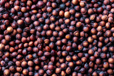 Lots of sour cherry pits as a background close up. Texture of dried cherry kernels. Top view