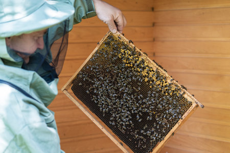 Farmer wearing bee suit working with honeycomb in apiary. Beekeeping in countryside. Male beekeeper...
